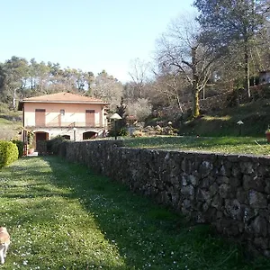 https://i-lecci.hotelitalianriviera.com